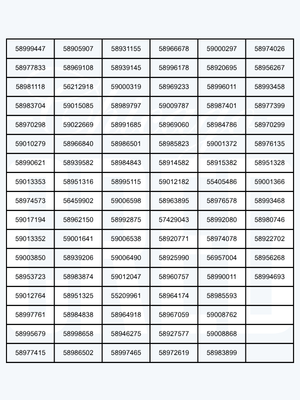 59000297 (1)