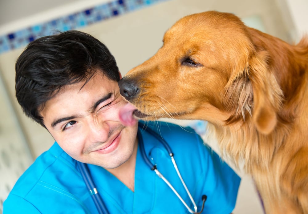 Cute dog giving a kiss to the vet after a checkup-1