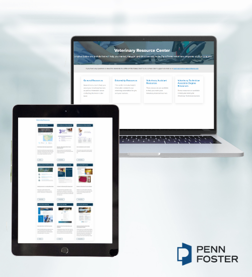 Veterinary Externship Stock Image (2)